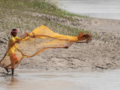 Sundarbans Wildlife Photography Gallery